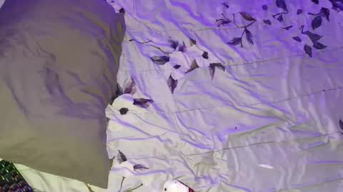 Snapshot of gabriel_olx chatting on March 2026 05:44:01 AM gabriel online show from March 2026 05:44:01 AM