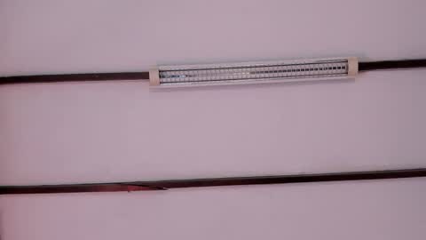 Gabriela Kassi online show from January 2026 11:04:01 AM