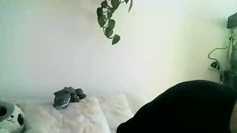 Gael Garca online show from February 2026 06:02:01 PM