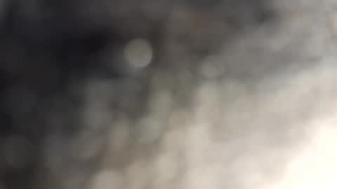 Snapshot of gallistuthomas440 chatting on October 2025 07:26:02 PM gallistuthomas440 online show from October 2025 07:26:02 PM