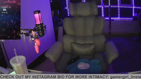 Snapshot of gamergirl_linela chatting on April 2026 04:06:02 AM gamergirl_linela online show from April 2026 04:06:02 AM