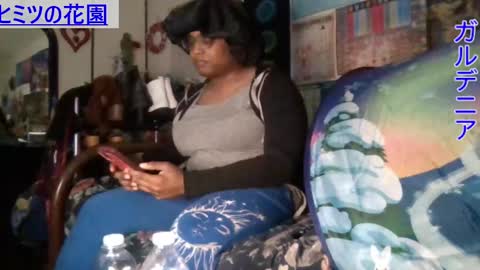 Gardenia online show from December 2024 10:13:02 AM