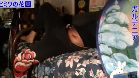 Gardenia online show from December 2024 11:23:02 AM