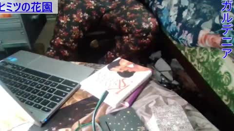 Gardenia online show from December 2024 08:11:02 AM