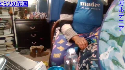 Gardenia online show from December 2024 05:13:01 PM