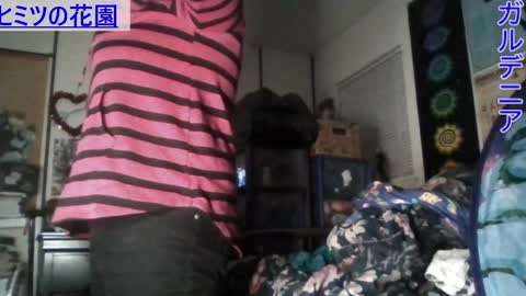 Gardenia online show from January 2025 07:42:01 AM