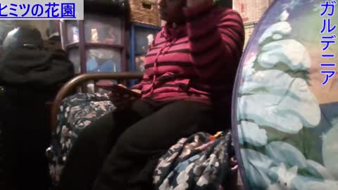 Gardenia online show from January 2025 07:04:01 AM