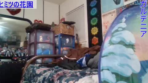 Gardenia online show from January 2025 08:51:01 AM