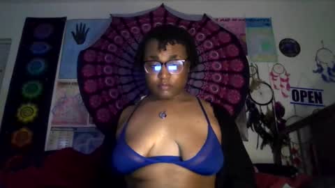 Gardenia online show from March 2026 08:31:02 AM