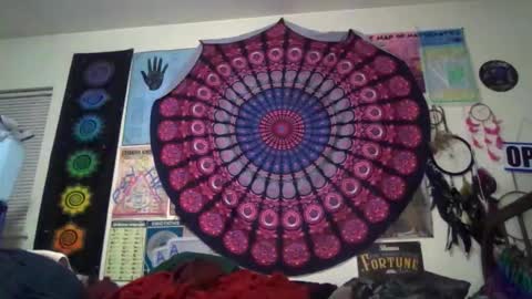 Gardenia online show from March 2026 09:36:02 AM