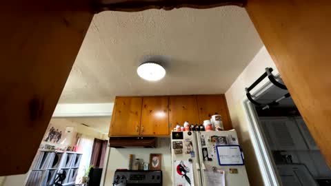 Snapshot of garypumpt chatting on October 2025 04:02:01 PM marvin pumpt online show from October 2025 04:02:01 PM