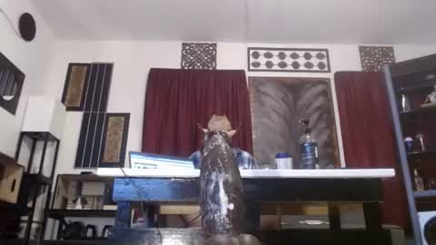 gatewaylaptop2019 online show from April 2026 06:19:01 AM