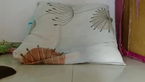 gatito02139159 online show from December 2025 09:54:02 PM