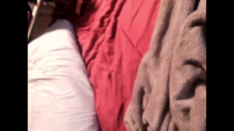 Snapshot of gdawg95 chatting on March 2026 11:38:02 AM Gbaby online show from March 2026 11:38:02 AM