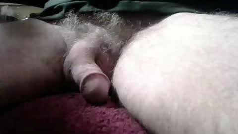 gemini_2 online show from January 2025 02:17:02 PM