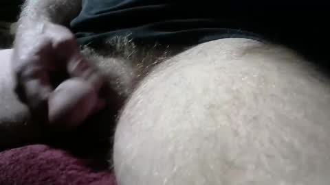 gemini_2 online show from February 2025 02:29:02 PM