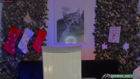 Geminis online show from February 2025 04:14:02 AM