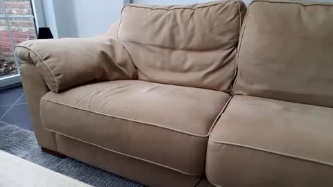 Snapshot of gentledad69 chatting on December 2024 10:43:01 AM Gentle online show from December 2024 10:43:01 AM