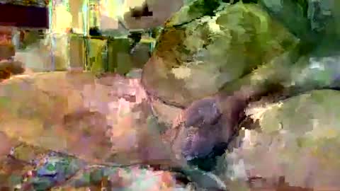 Snapshot of gergokertesz chatting on January 2025 03:02:01 AM gergokertesz online show from January 2025 03:02:01 AM