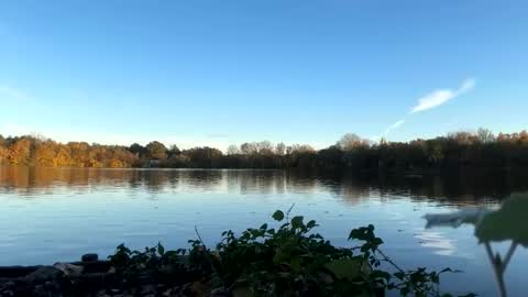 Snapshot of germanwankingman92 chatting on November 2025 03:12:02 PM Pink Dog online show from November 2025 03:12:02 PM