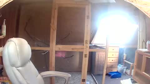 germany_50 online show from September 2025 06:36:01 AM