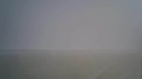 gessy_angel online show from February 2026 07:52:01 AM