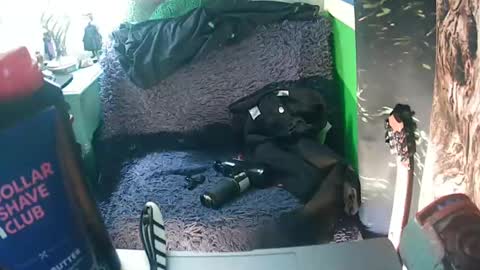 Snapshot of getfucked321jake chatting on January 2025 12:31:01 PM getfucked321jake online show from January 2025 12:31:01 PM