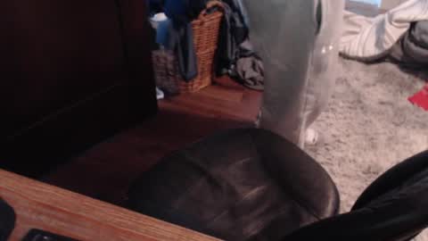 gethoggy online show from January 2025 04:35:01 PM