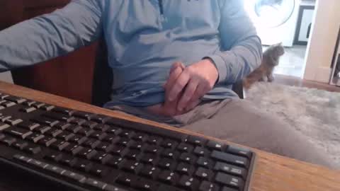 gethoggy online show from October 2025 02:16:01 PM