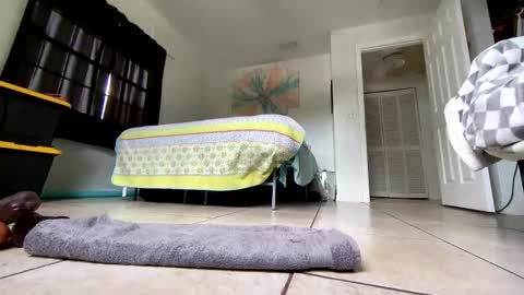 Snapshot of getngetout88 chatting on March 2026 06:23:01 PM Getngetout88 online show from March 2026 06:23:01 PM