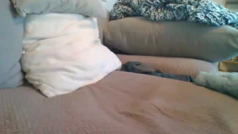 Getsome11 online show from March 2026 12:53:01 PM