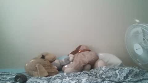 Snapshot of ghansberger2 chatting on March 2026 11:44:01 PM ghansberger2 online show from March 2026 11:44:01 PM