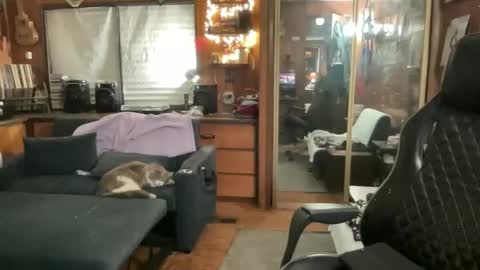 Snapshot of ghostboygbc chatting on March 2026 03:33:01 AM ghostboygbc online show from March 2026 03:33:01 AM