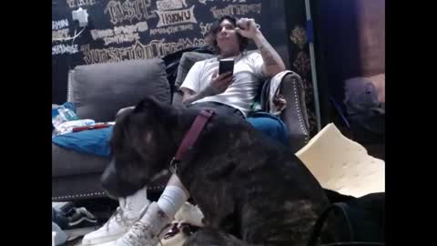 ghxstface23 online show from September 2025 02:00:02 AM