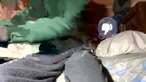 Corrado online show from January 2025 02:30:02 PM