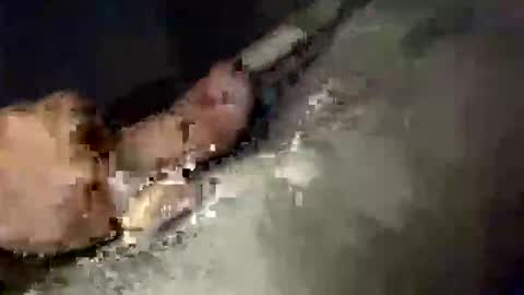 gifted2472 online show from October 2025 05:06:01 AM