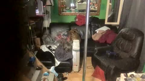 GinaGender online show from November 2025 07:13:01 PM