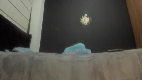 Snapshot of ginger_amarett chatting on March 2025 06:54:01 PM Miss online show from March 2025 06:54:01 PM