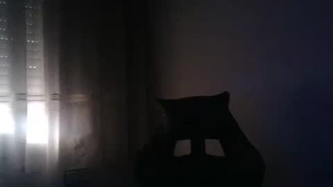 Snapshot of gioshadow chatting on May 2026 03:52:02 PM gioshadow online show from May 2026 03:52:02 PM