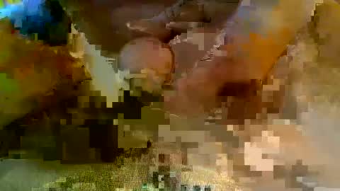 girafsnoop online show from January 2025 09:15:02 AM