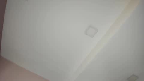 Snapshot of giselamaru chatting on March 2025 11:17:01 AM online show from March 2025 11:17:01 AM