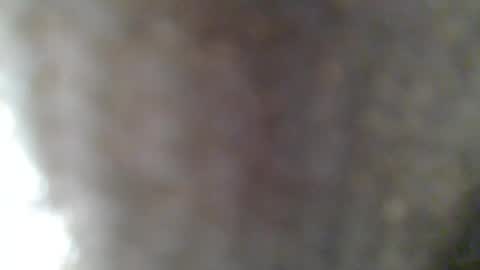 Snapshot of givr6inches chatting on February 2025 07:31:02 AM e-Bizl online show from February 2025 07:31:02 AM