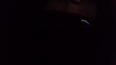 Snapshot of givr6inches chatting on March 2025 06:57:02 AM e-Bizl online show from March 2025 06:57:02 AM