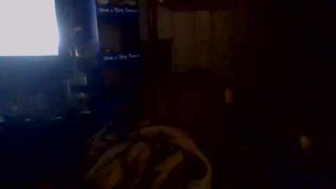 Snapshot of givr6inches chatting on November 2025 05:10:02 AM e-Bizl online show from November 2025 05:10:02 AM