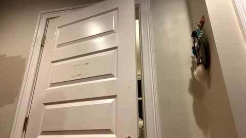 Snapshot of glegere18 chatting on October 2025 03:14:01 AM Lets get wierd online show from October 2025 03:14:01 AM