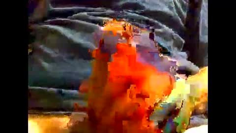 PencilDick online show from December 2024 09:39:02 AM