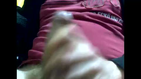 PencilDick online show from October 2025 09:15:01 AM