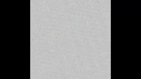 black  white online show from March 2026 08:06:02 AM