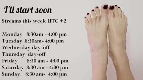 Verdgy online show from November 2025 07:19:01 AM