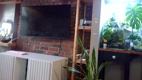 Snapshot of goddessjojo4u chatting on February 2026 09:18:02 PM Goodess Jojo online show from February 2026 09:18:02 PM